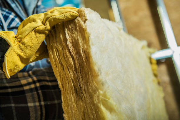 Best Insulation Installation Services in Hilton, NY