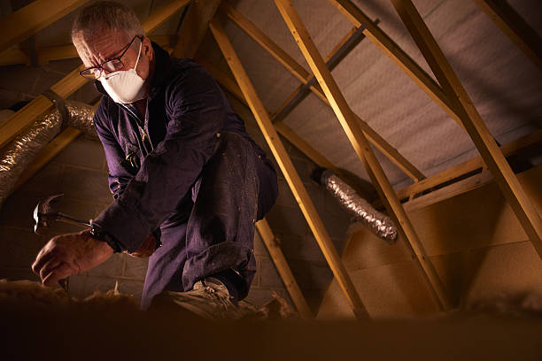 Best Insulation Materials and Products in Hilton, NY